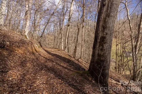 0000 Devils Knob Road Mars Hill NC 28754