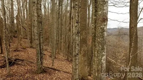 0000 Devils Knob Road Mars Hill NC 28754