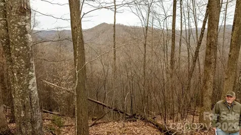 0000 Devils Knob Road Mars Hill NC 28754