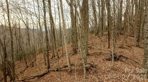 0000 Devils Knob Road Mars Hill NC 28754