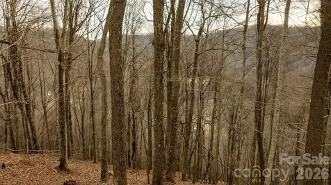 0000 Devils Knob Road Mars Hill NC 28754