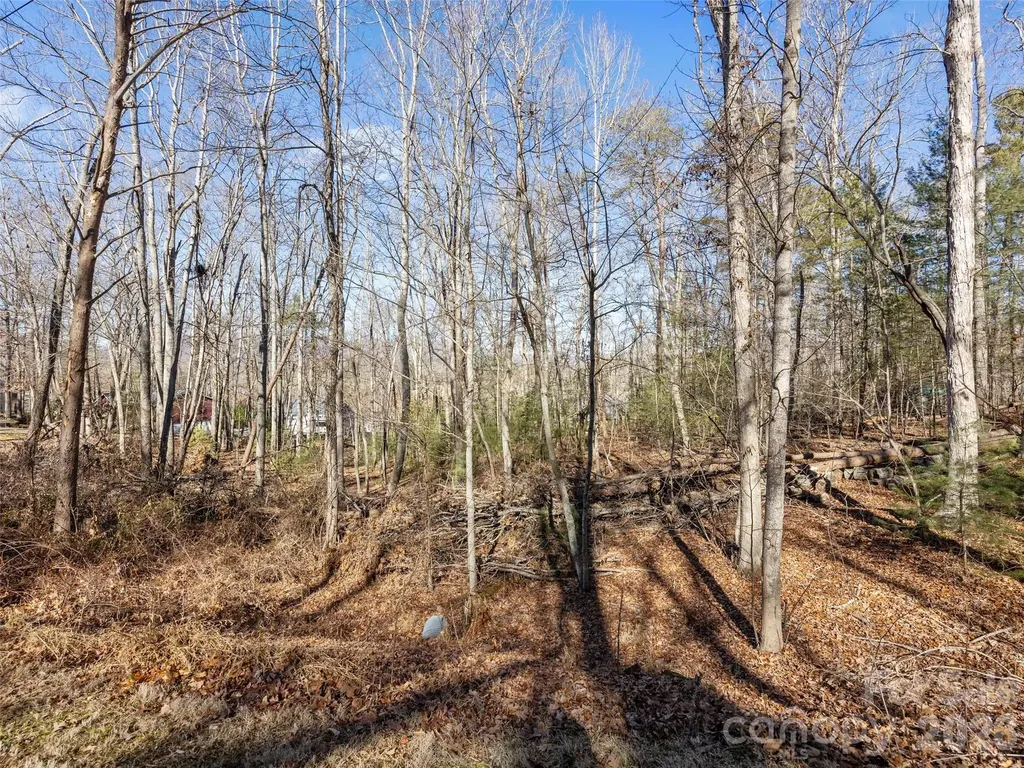 Lot 7 Mountain Heritage Place Candler NC 28715
