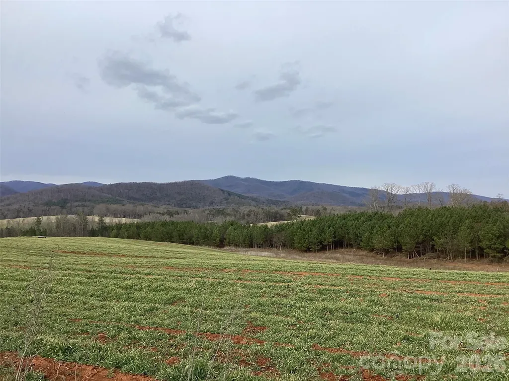 00 Moriah School Road Casar NC 28020