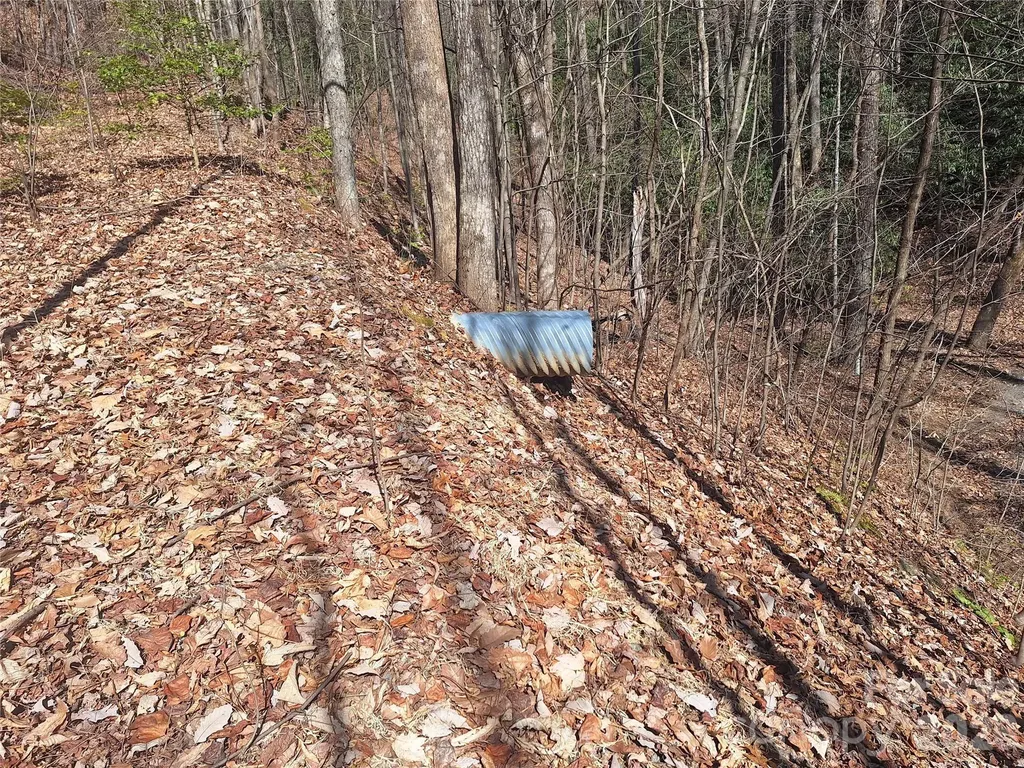 965 Wolf Pen Road Old Fort NC 28762