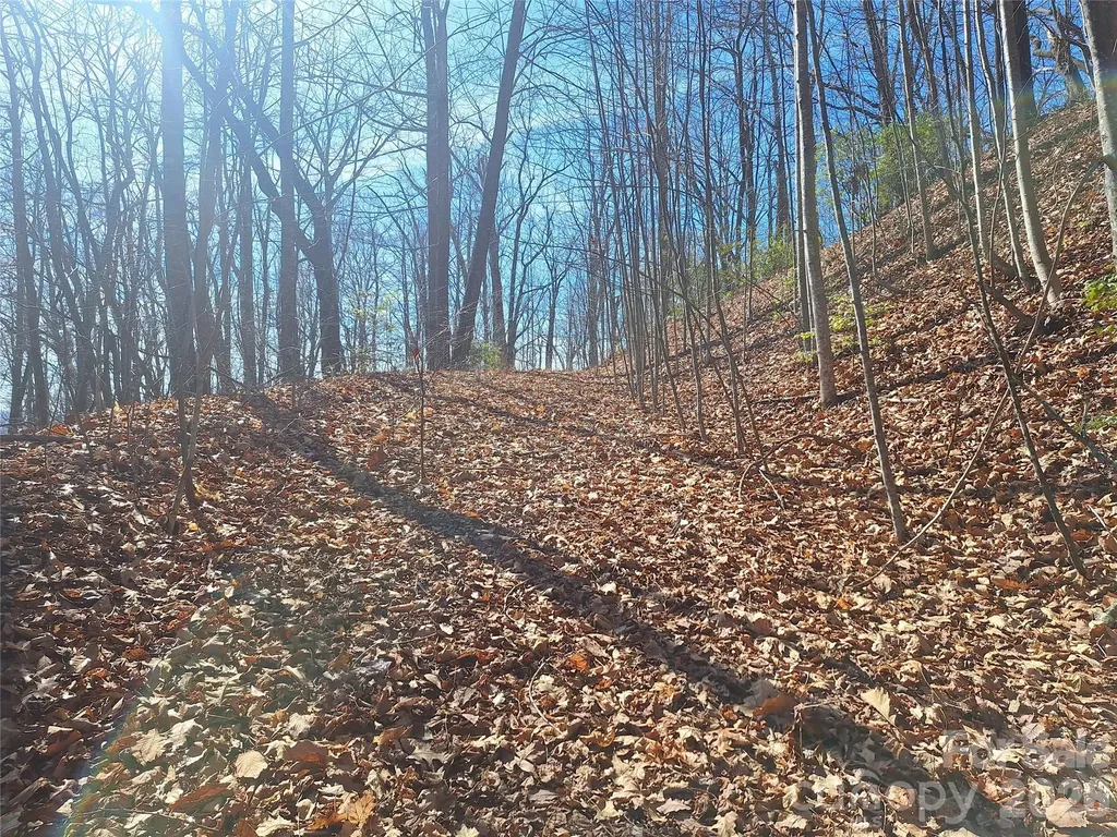 965 Wolf Pen Road Old Fort NC 28762