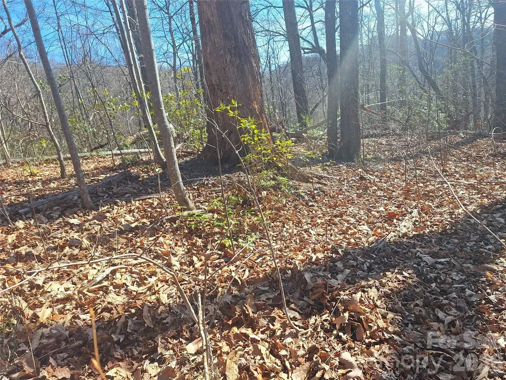 965 Wolf Pen Road Old Fort NC 28762
