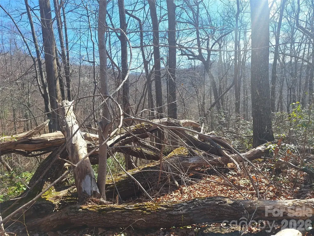 965 Wolf Pen Road Old Fort NC 28762