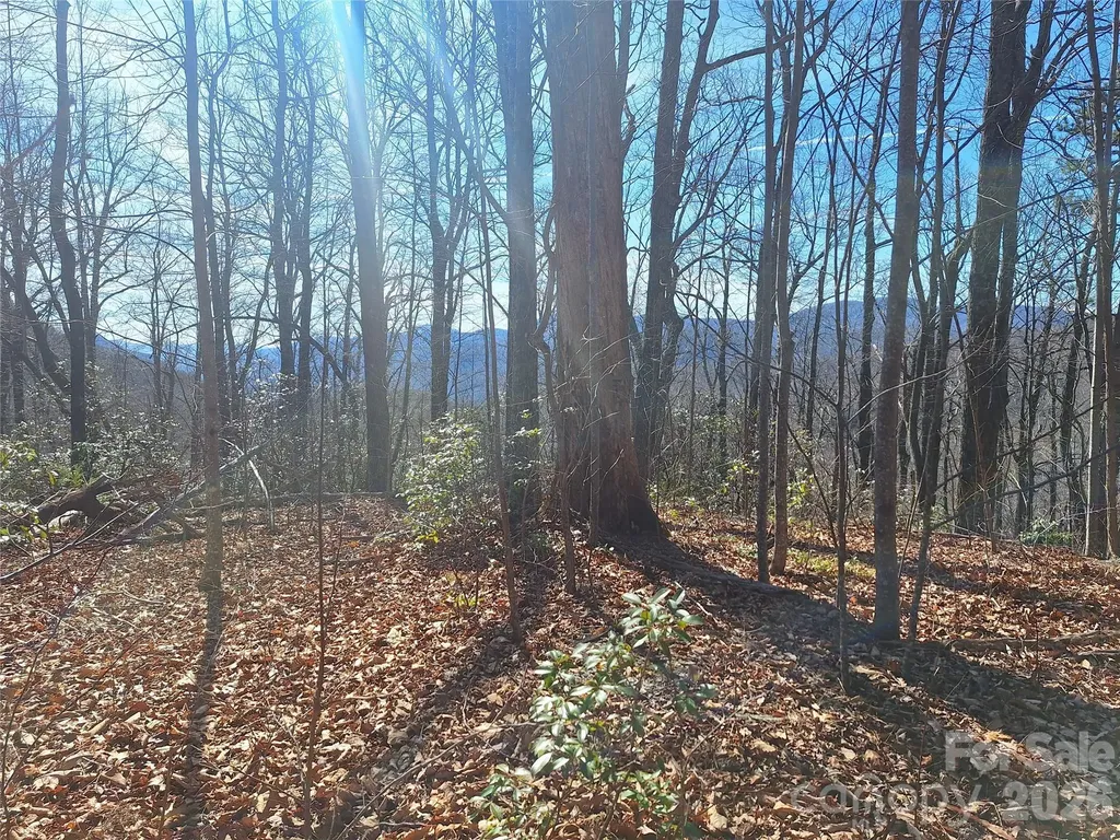 965 Wolf Pen Road Old Fort NC 28762