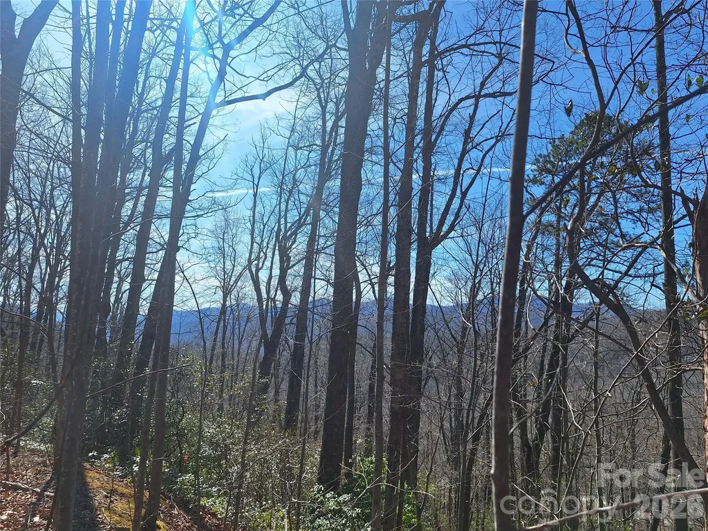 965 Wolf Pen Road Old Fort NC 28762
