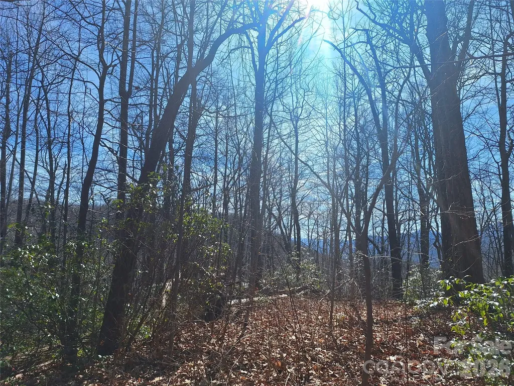 965 Wolf Pen Road Old Fort NC 28762