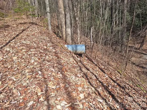 965 Wolf Pen Road Old Fort NC 28762