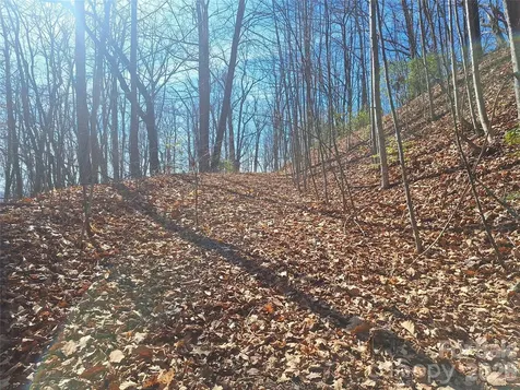 965 Wolf Pen Road Old Fort NC 28762