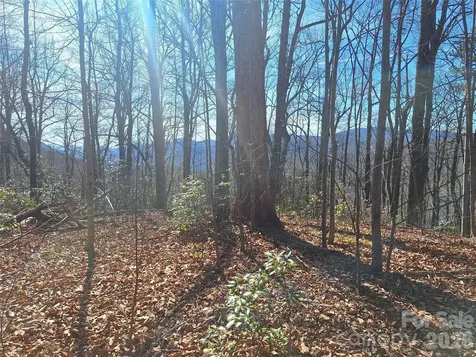 965 Wolf Pen Road Old Fort NC 28762