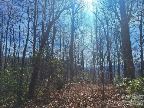 965 Wolf Pen Road Old Fort NC 28762