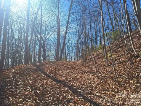 965 Wolf Pen Road Old Fort NC 28762