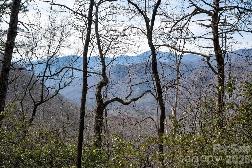0 Rachel Ridge Lake Lure NC 28746