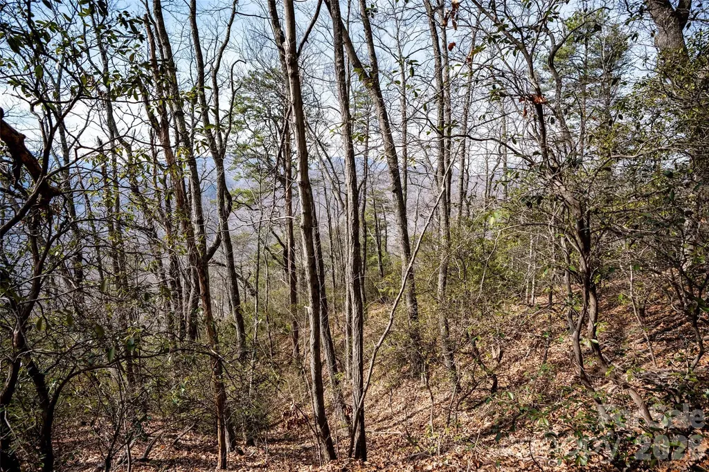 0 Rachel Ridge Lake Lure NC 28746