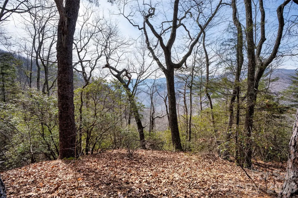 0 Rachel Ridge Lake Lure NC 28746