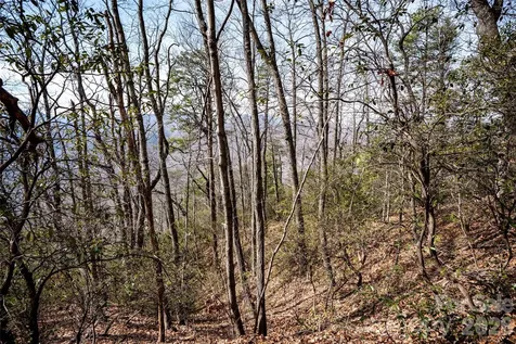 0 Rachel Ridge Lake Lure NC 28746