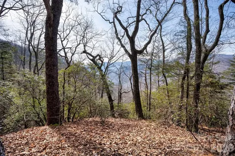 0 Rachel Ridge Lake Lure NC 28746