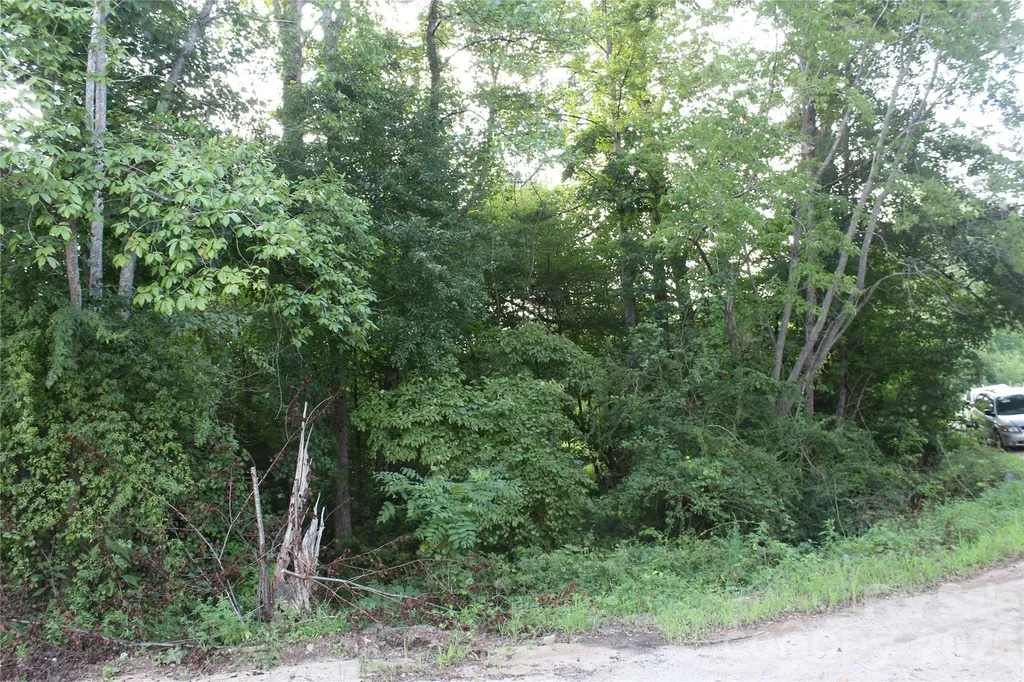 3609 E Nc 10 Highway Claremont NC 28610