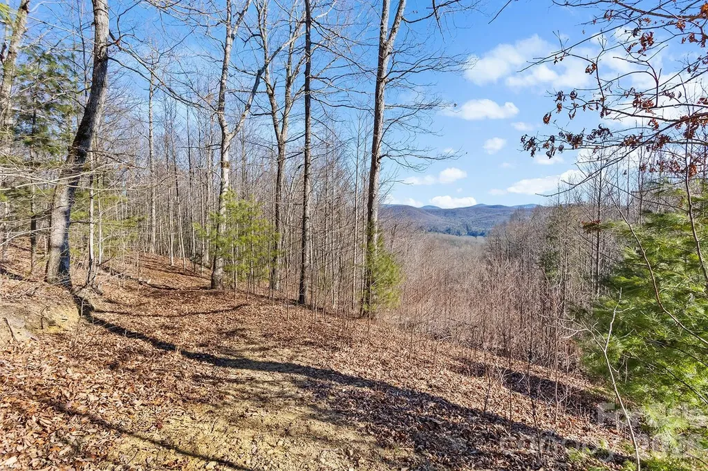 0000 Pinnacle Mountain Road Zirconia NC 28790
