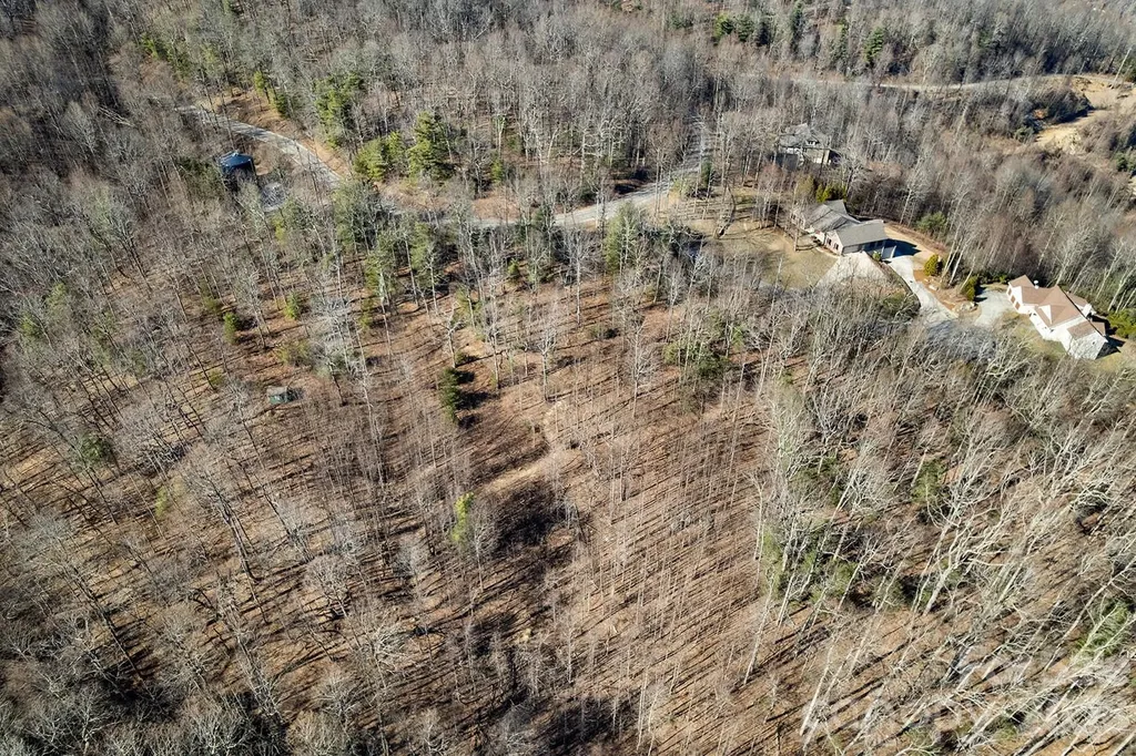0000 Pinnacle Mountain Road Zirconia NC 28790