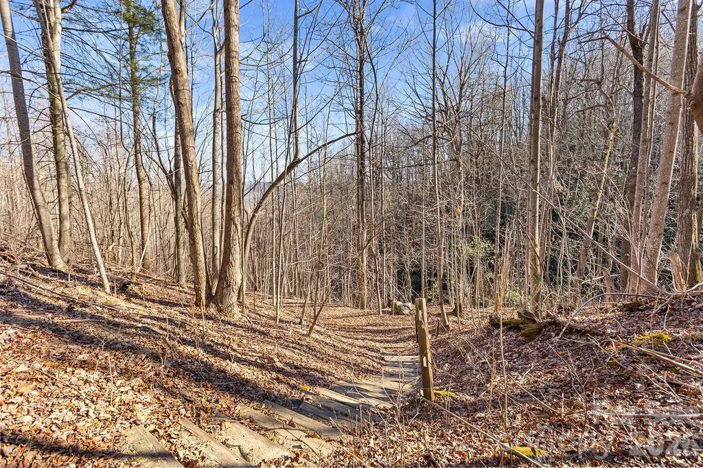 0000 Pinnacle Mountain Road Zirconia NC 28790