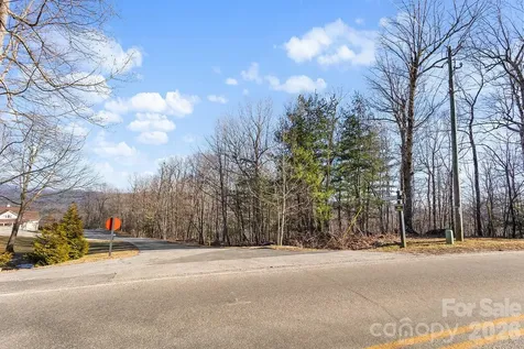 0000 Pinnacle Mountain Road Zirconia NC 28790