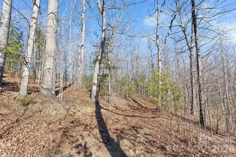 0000 Pinnacle Mountain Road Zirconia NC 28790
