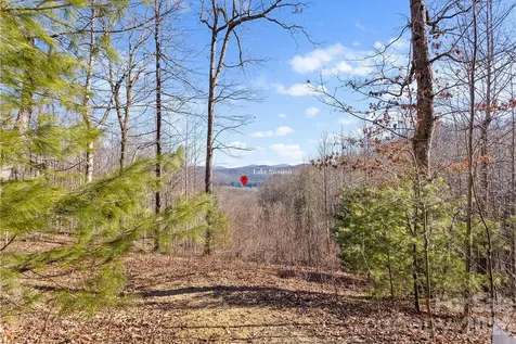 0000 Pinnacle Mountain Road Zirconia NC 28790