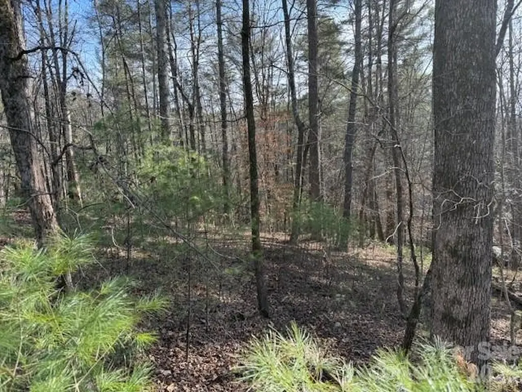7 Settlement Ridge Drive Marion NC 28752