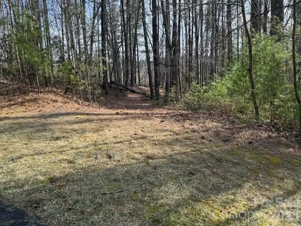 7 Settlement Ridge Drive Marion NC 28752