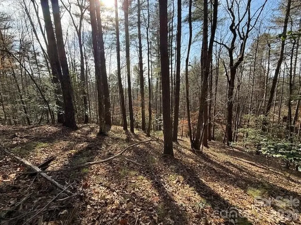 7 Settlement Ridge Drive Marion NC 28752