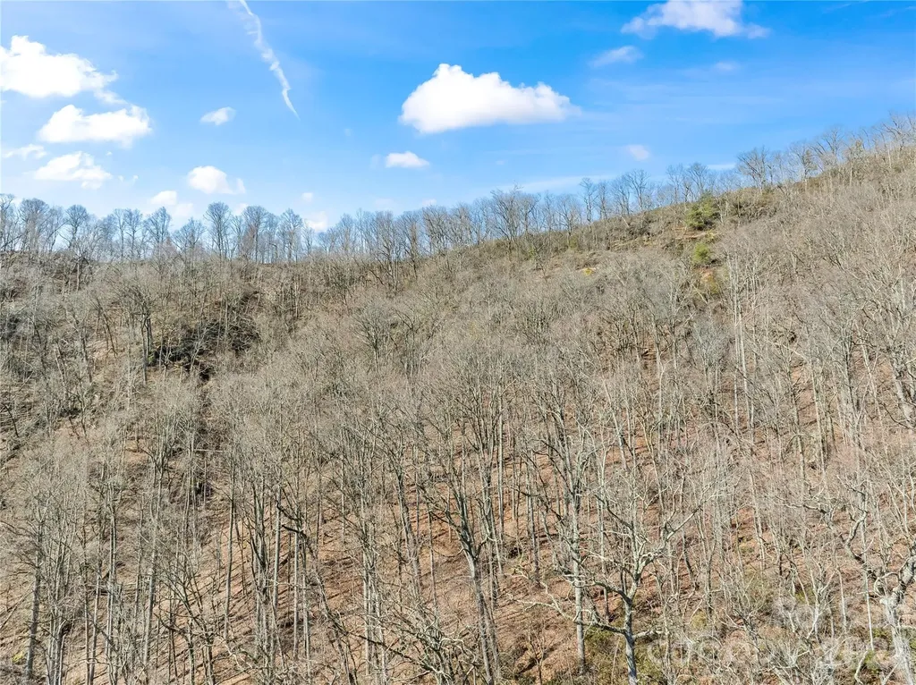 31 Reillys Bluff Road Barnardsville NC 28709