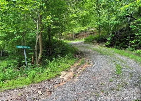 31 Reillys Bluff Road Barnardsville NC 28709