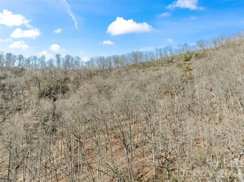 31 Reillys Bluff Road Barnardsville NC 28709