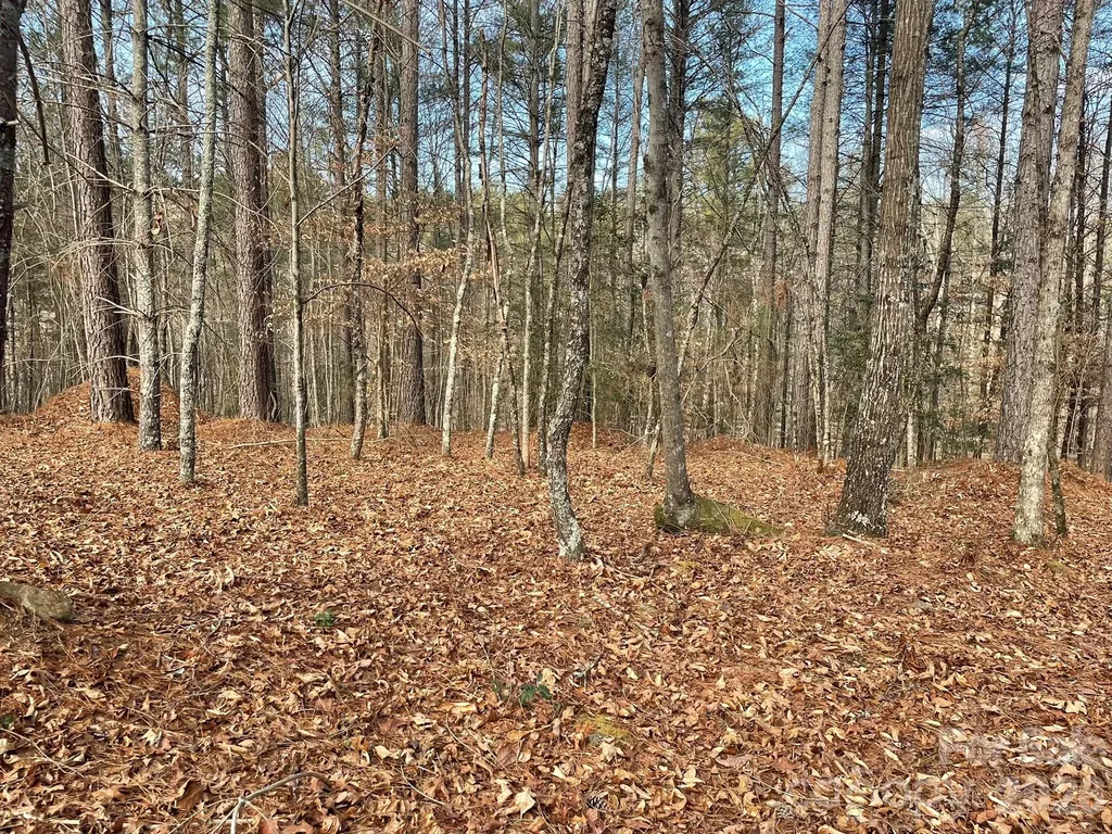 4650 John Berry Road Valdese NC 28690