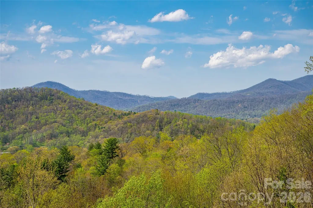 116 Dalya Road Swannanoa NC 28778