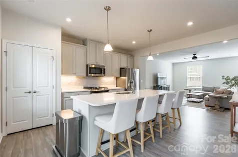 411 Lahinch Drive Tega Cay SC 29708