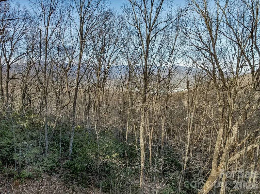 119 Wildflower Cove Drive Swannanoa NC 28778