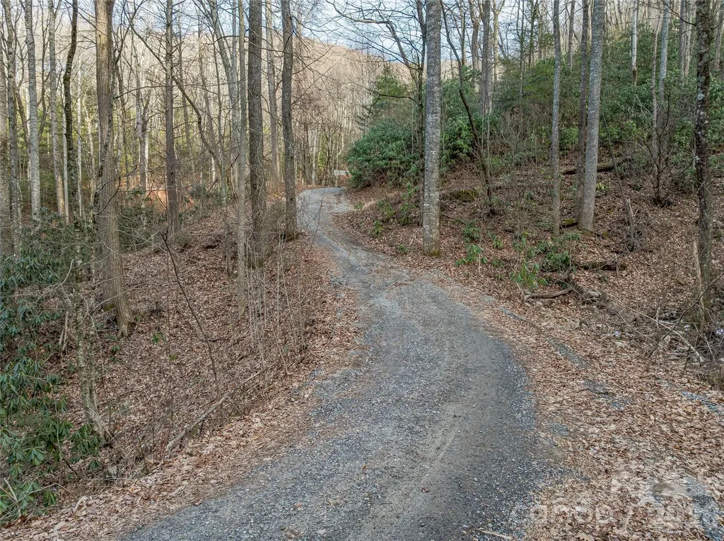 119 Wildflower Cove Drive Swannanoa NC 28778