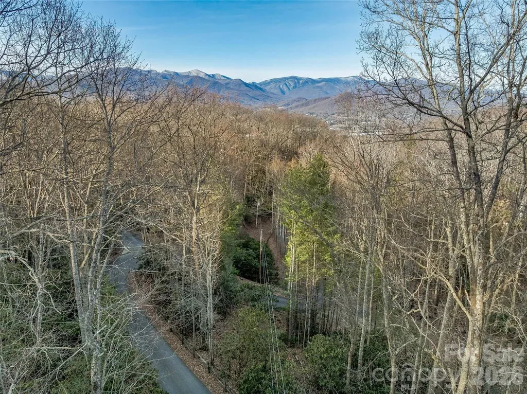 119 Wildflower Cove Drive Swannanoa NC 28778