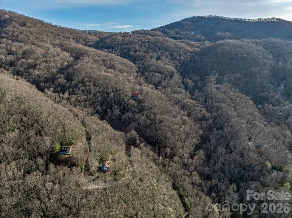 119 Wildflower Cove Drive Swannanoa NC 28778
