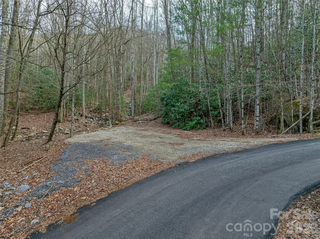 119 Wildflower Cove Drive Swannanoa NC 28778