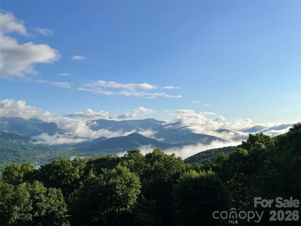 126 Wildflower Cove Drive Swannanoa NC 28778
