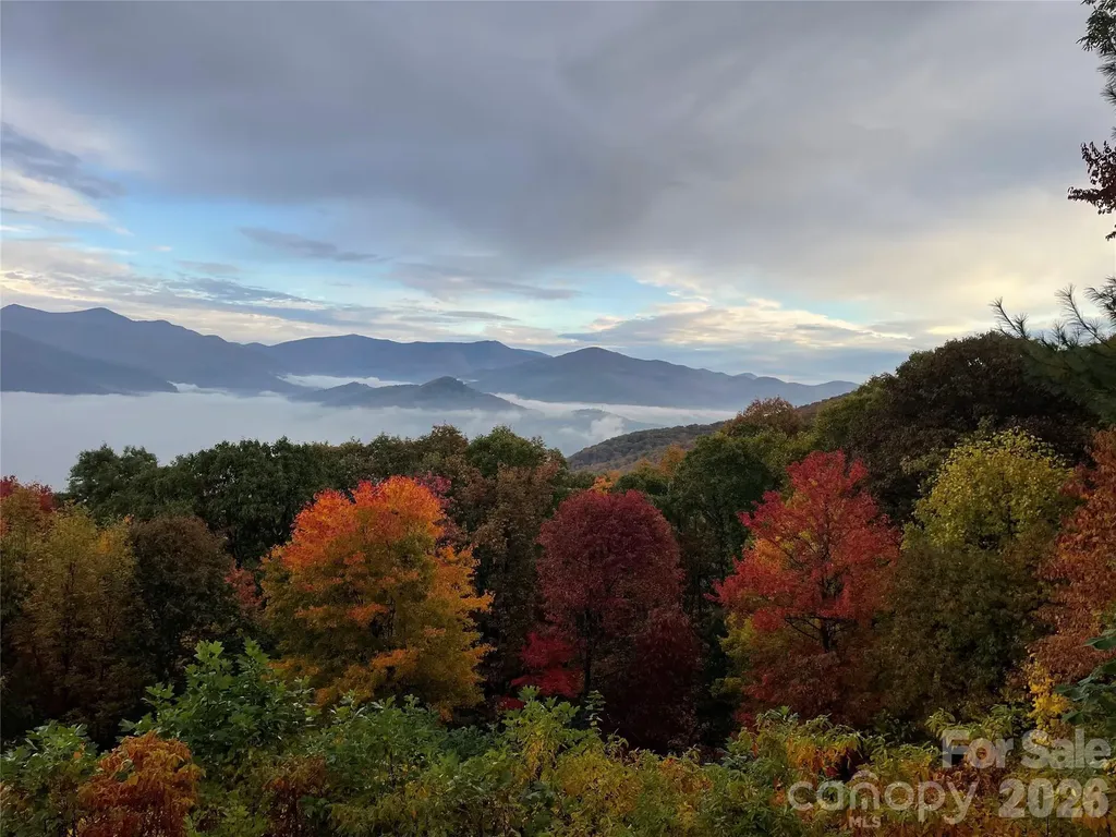 126 Wildflower Cove Drive Swannanoa NC 28778