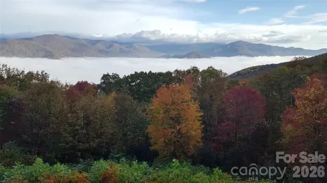126 Wildflower Cove Drive Swannanoa NC 28778