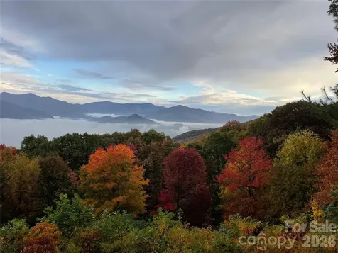 126 Wildflower Cove Drive Swannanoa NC 28778