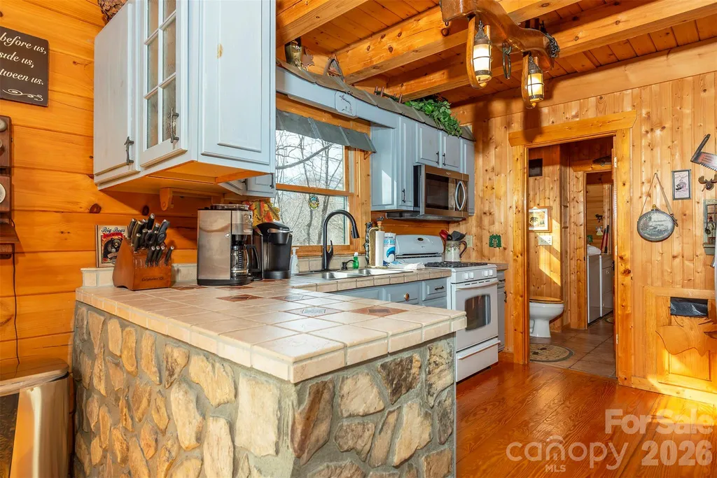 145 Flynn Court Lake Lure NC 28746